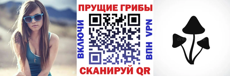 Галлюциногенные грибы Psilocybine cubensis  Купить где  Усть-Илимск 